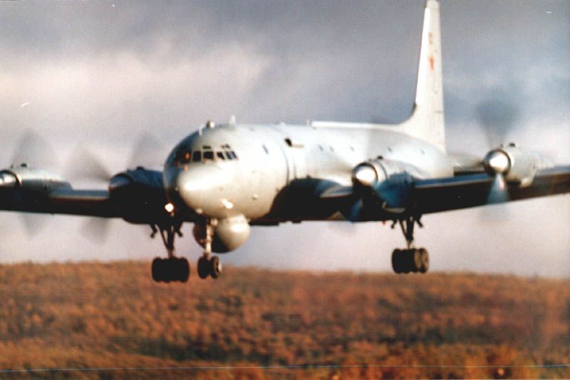 IL-38.2.jpg