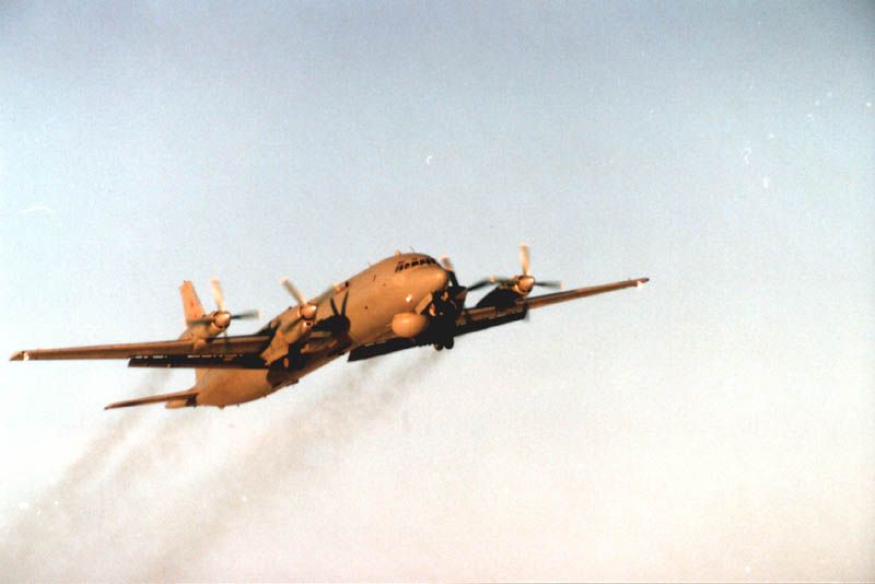 IL-38.3.jpg