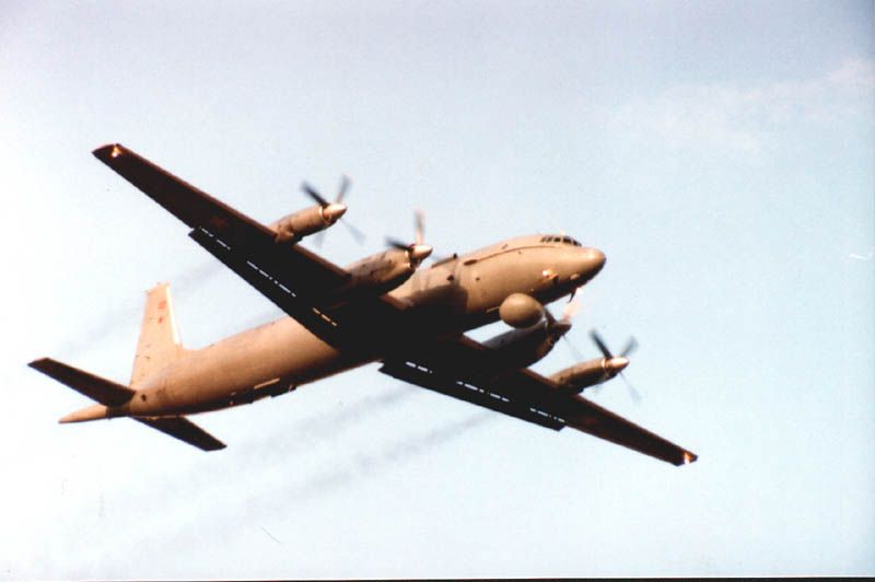 IL-38.5.jpg