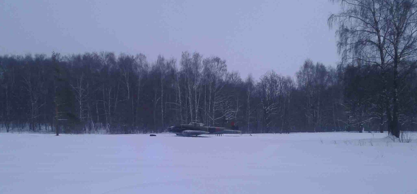 Ил-2 в лесу.jpg